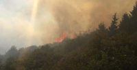 Amanoslardaki orman yangınını soğutma çalışması sürüyor