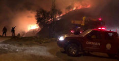 Hatay’da orman yangını: 1 hektar alan zarar gördü