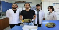 Akdeniz’de rastlanan balığa “Fenerbahçe” adı verildi