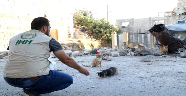 İHH Kafranbel’deki sokak hayvanlarını unutmadı