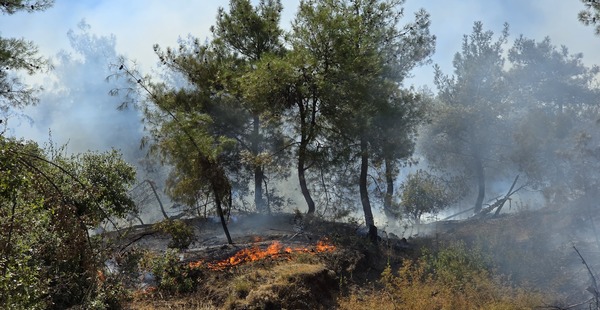 HASSA’DA ÇIKAN ORMAN YANGINI KONTROL ALTINA ALINDI