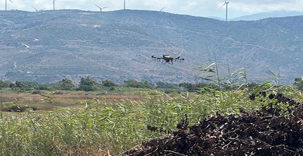 SAMANDAĞ’DA HAŞEREYLE MÜCADELE KAPSAMINDA DRONLA İLAÇLAMA YAPILDI