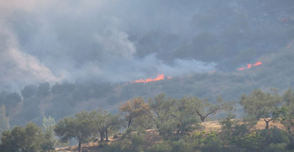 TÜRKİYE’DE İLK 6 AYDA 1418 ORMAN YANGINI ÇIKTI, 17 BİN 316 DEPREM, 28 ÇIĞ MEYDANA GELDİ