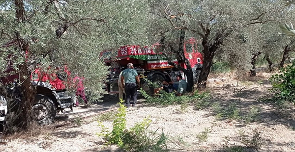 ALTINÖZÜ’NDE ZEYTİN BAHÇESİNDE ÇIKAN YANGIN SÖNDÜRÜLDÜ