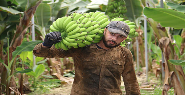 ÇİFTÇİLER MARKET FİYATLARINA TEPKİLİ