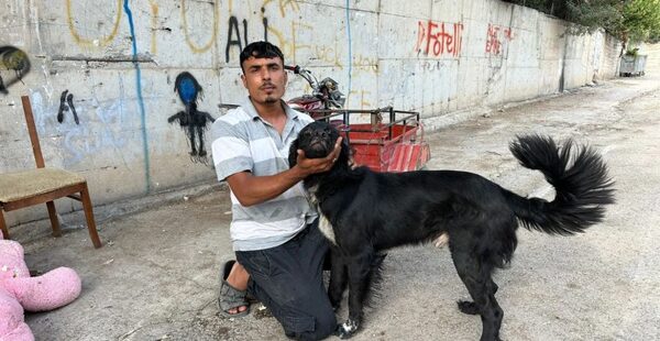 KÖPEK OLAYININ İÇYÜZÜ ORTAYA ÇIKTI!