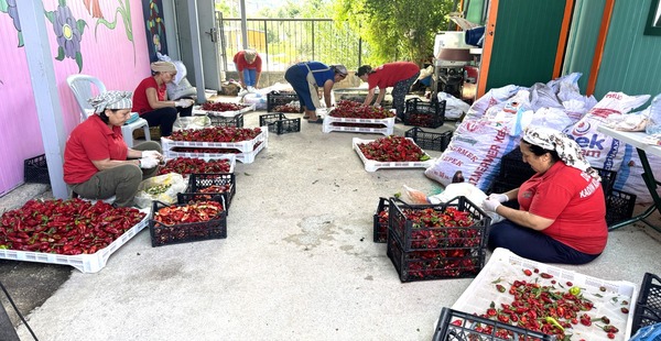 ÇİFTÇİLERİN ÜRÜNLERİ KADINLARIN ELİNDE KATMA DEĞERE DÖNÜŞÜYOR