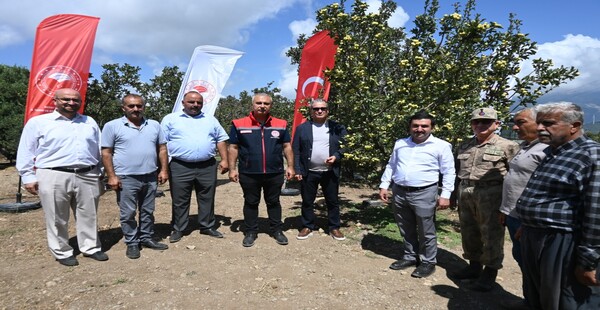 BELEN’DE ALIÇ MEYVESİNİN İLK HASADI GERÇEKLEŞTİ