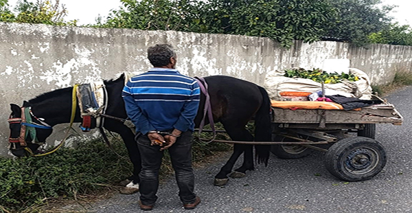 NARENCİYE HIRSIZLIĞI YAPAN KİŞİ YAKALANDI