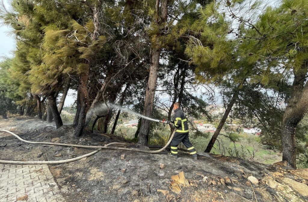 ÇAMLIKTA ÇIKAN YANGIN SÖNDÜRÜLDÜ