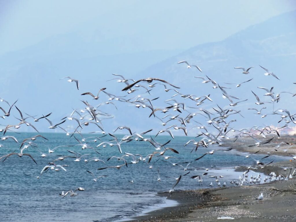 DOĞA, İNSAN VE MUTLULUK…