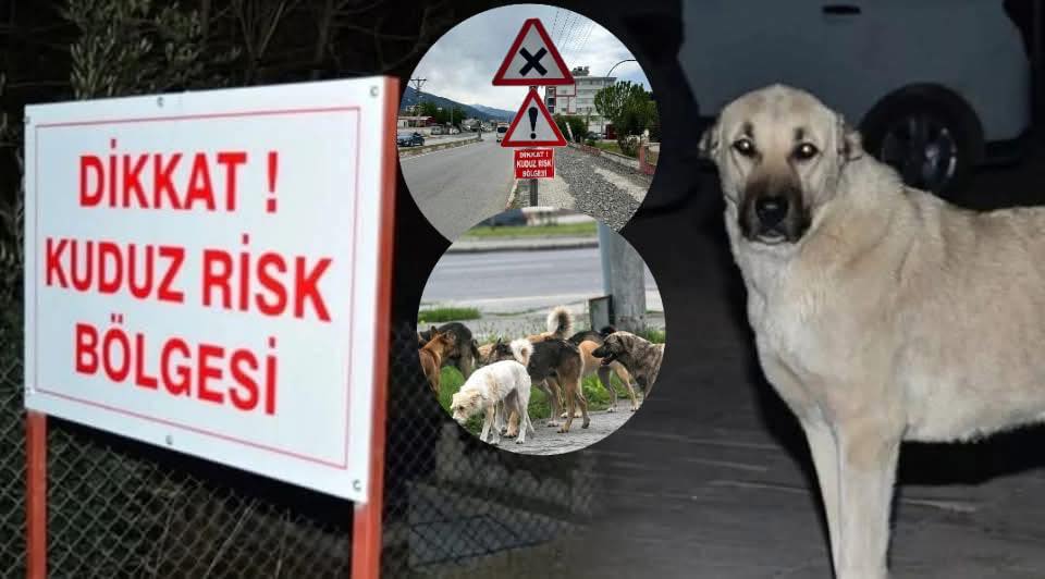 4 MAHALLE KUDUZ NEDENİYLE KARANTİNAYA ALINDI