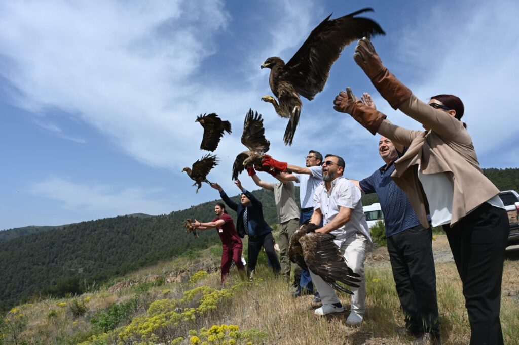 10 KUŞ TEDAVİLERİNİN ARDINDAN DOĞAYA SALINDI