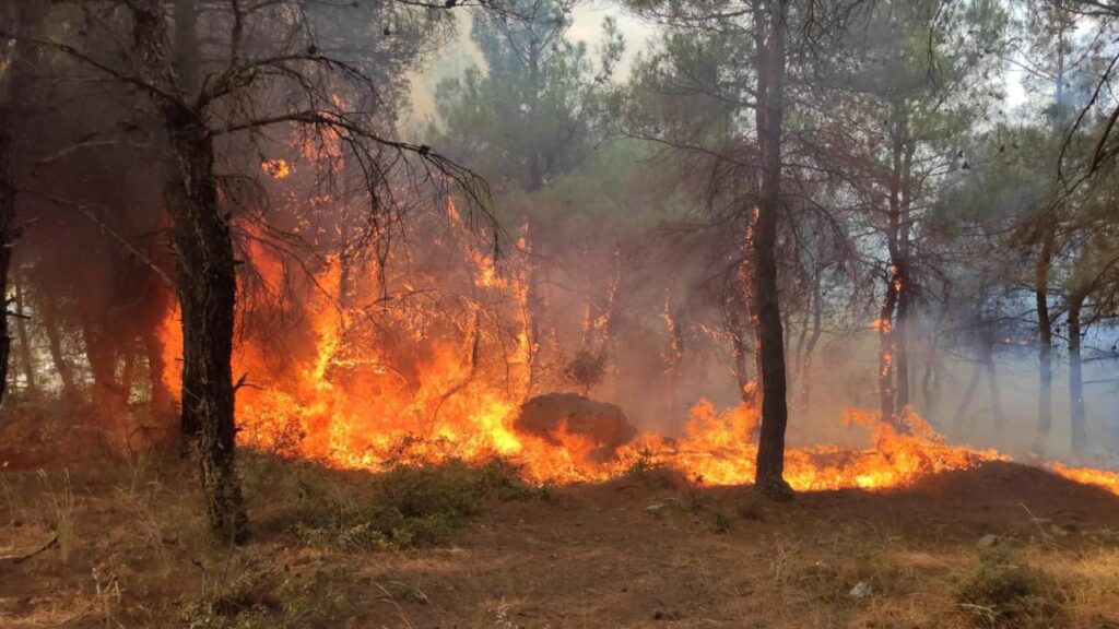 ORMAN YANGINI ÖNLEME KAMPANYALARI BAŞLIYOR