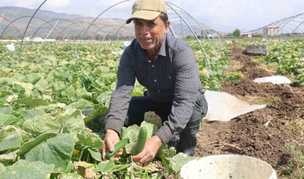 MÜDÜRLÜK MAĞDUR ÇİFTÇİLERİ UYARDI