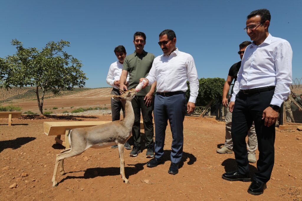 “GAZELLA GAZELLA” TÜRÜ DAĞ CEYLANLARININ KORUNMASINA DESTEK
