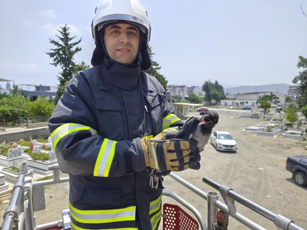 AĞAÇTAKİ İPE DOLANAN KARGAYI İTFAİYE KURTARDI