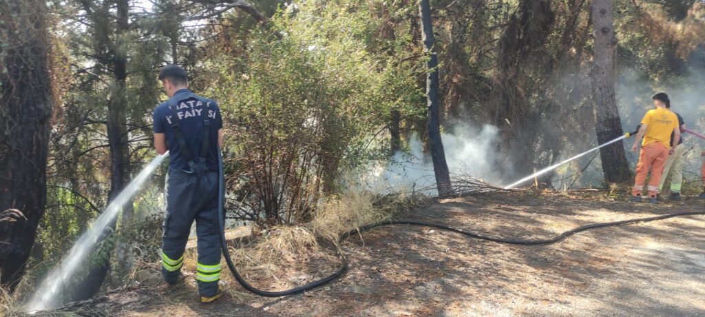 ORMANLIK VE ÇAMLIK ALANDA ÇIKAN YANGINLAR SÖNDÜRÜLDÜ