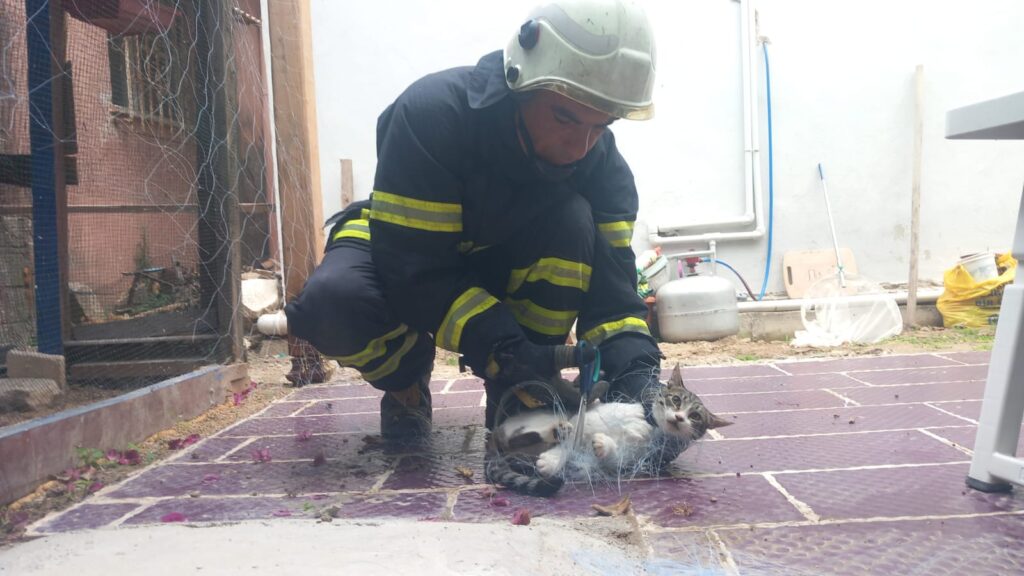 KUŞ KAFESİNDEKİ AĞA TAKILAN KEDİYİ İTFAİYE EKİBİ KURTARDI