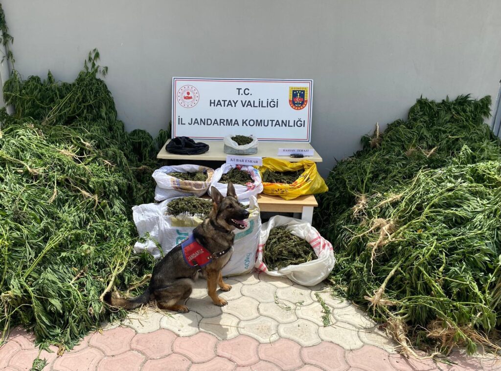 JANDARMA EKİPLERİ SUÇA GEÇİT VERMEDİ