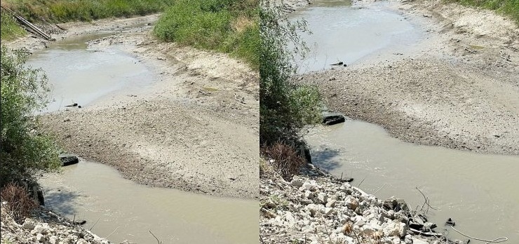 PAMUKLAR KURUMA NOKTASINA GELDİ
