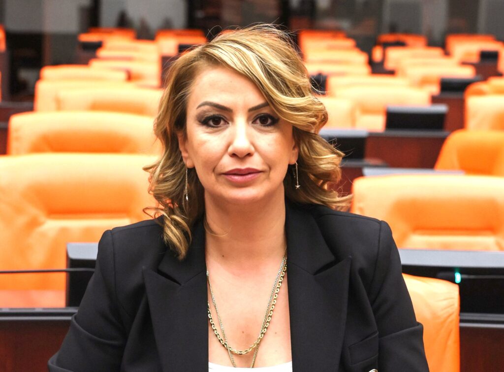 YILDIRIM KARA: LOZAN’A DÜŞMAN BİR İKTİDARLA DOĞRU DIŞ POLİTİKA TASARLANAMAZ