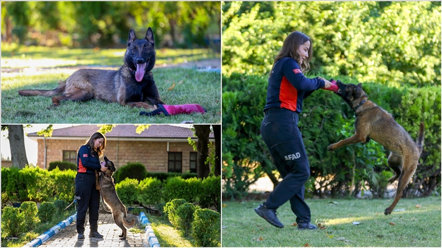 AA’NIN KÖPEĞİ DEPREMDE AFETTE CAN KURTARACAK