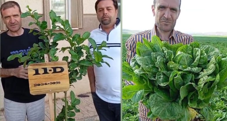 HATAYLI GENÇ GİRİŞİMCİDEN TARIMDA DEVRİM!