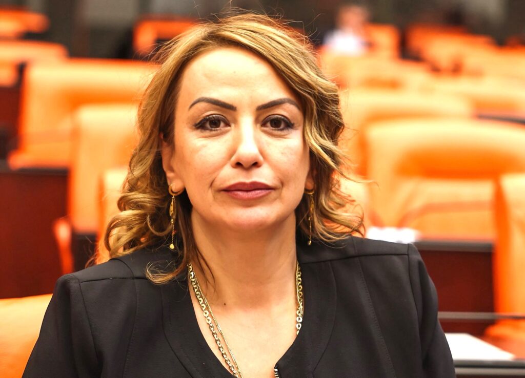 MALİ MÜŞAVİRLER TEKNİK VE HUKUKİ İYİLEŞTİRMELER İSTİYOR
