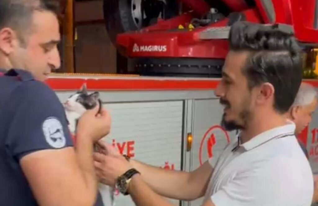 İSKENDERUN’DA ÇATIDA MAHSUR KALAN KEDİYİ İTFAİYE KURTARDI