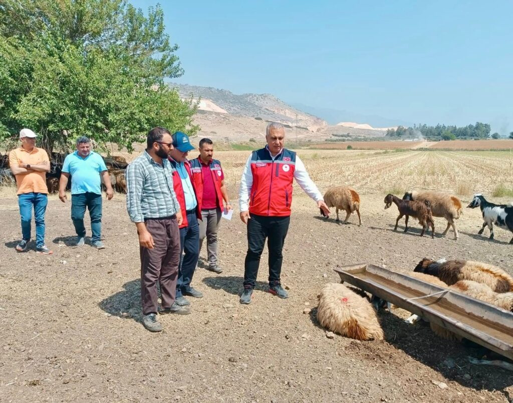 TÜRKMEN, KÜÇÜKBAŞ HAYVAN ÜRETİCİLERİNİ ZİYARET ETTİ
