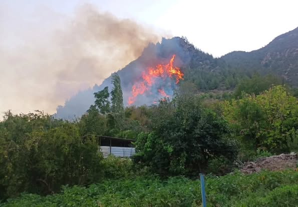 KUNDAKLAMA DEĞİL DE NE: HATAY’IN 4 İLÇESİNDE YANGIN!