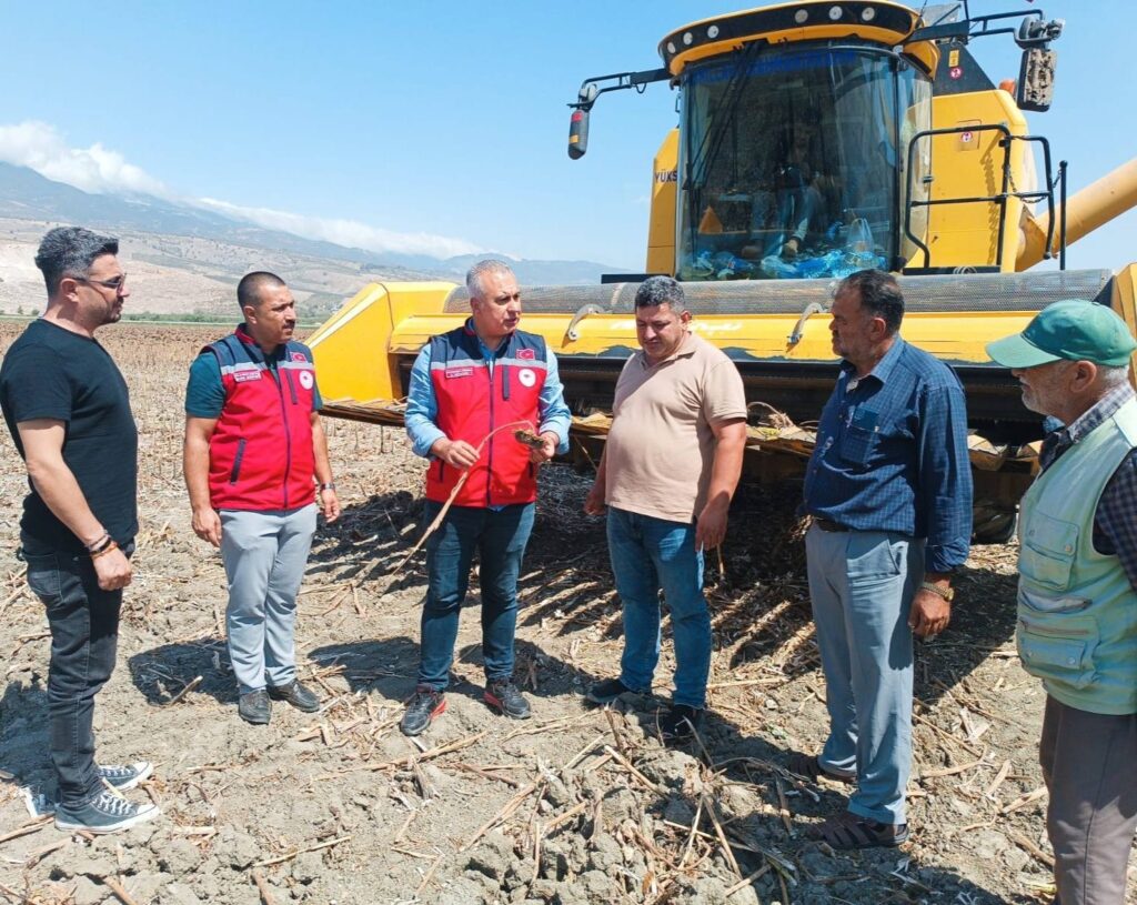 KIRIKHAN’DA AYÇİÇEĞİ HASADI BAŞLADI