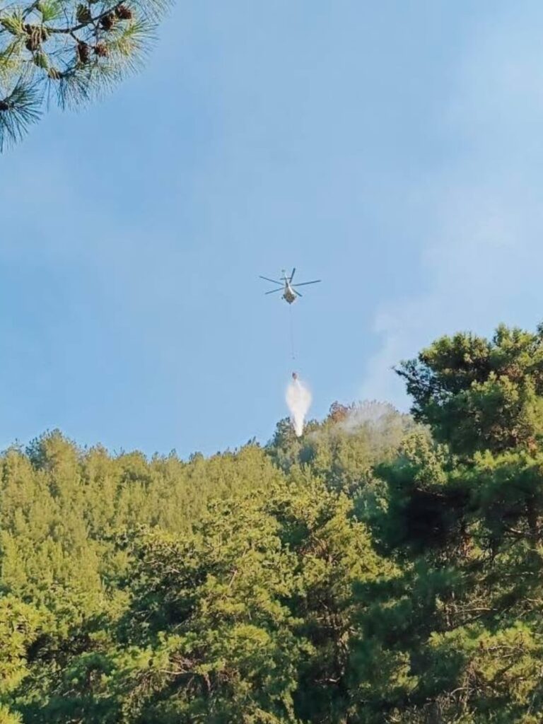 SAMANDAĞ BATIAYAZ’DA ÇIKAN ORMAN YANGINI BÜYÜMEDEN SÖNDÜRÜLDÜ