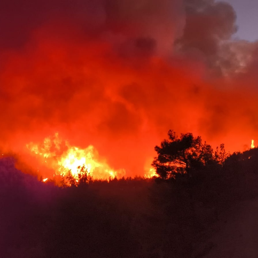 HASSA’DA ORMAN YANGINI