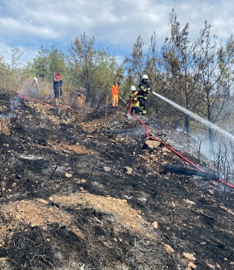 ORMANLIK ALANDA ÇIKAN YANGIN SÖNDÜRÜLDÜ