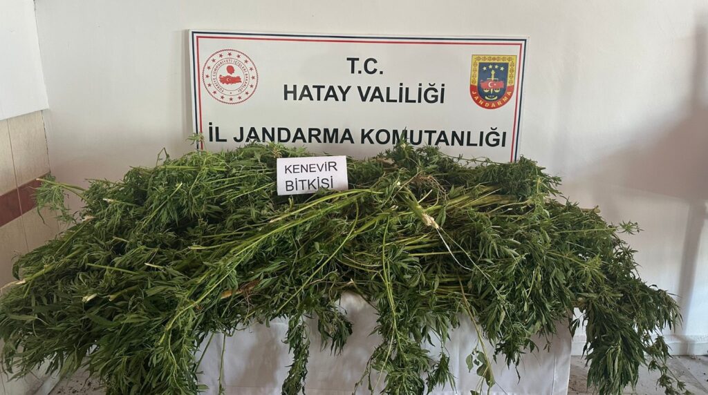 UYUŞTURUCU OPERASYONUNDA 5 ŞÜPHELİ GÖZALTINA ALINDI