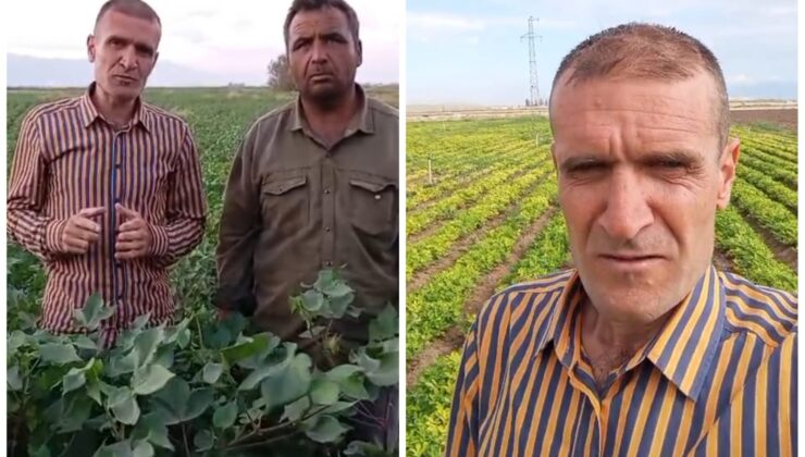 HATAYLI GİRİŞİMCİ ORGANİK GÜBREYLE DÜNYA REKORUNA İMZA ATIYOR!