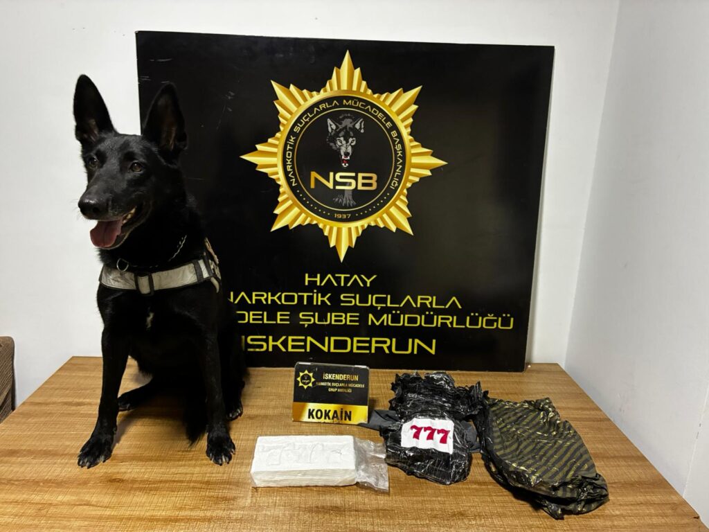 KOKAİN ELE GEÇİRİLEN OTOMOBİLDEKİ 2 ZANLI TUTUKLANDI