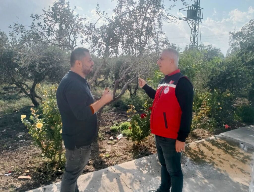 ZEYTİN HASADI BAŞLADI