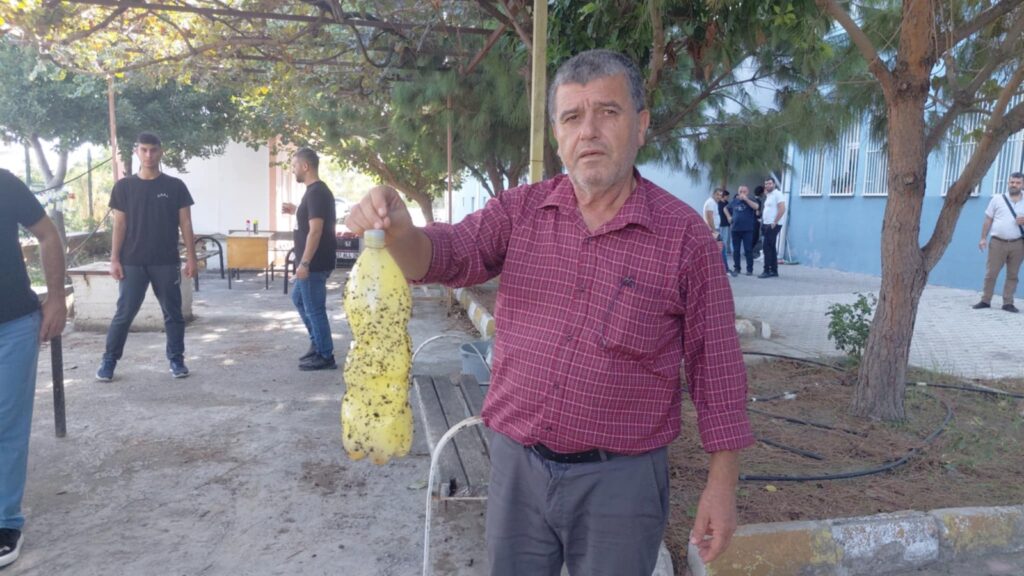 LİSE ÖĞRENCİLERİNDEN AKDENİZ MEYVE SİNEĞİYLE MÜCADELE İÇİN PET ŞİŞELİ TUZAK