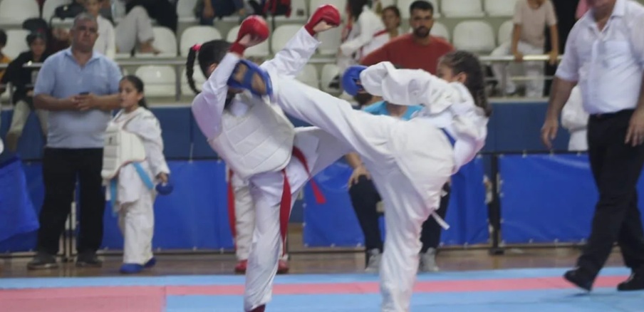TÜRKİYE İLLER ARASI KARATE ŞAMPİYONASI