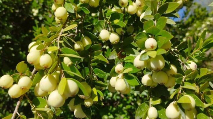 FAYDASI SAYMAKLA BİTMEZ!